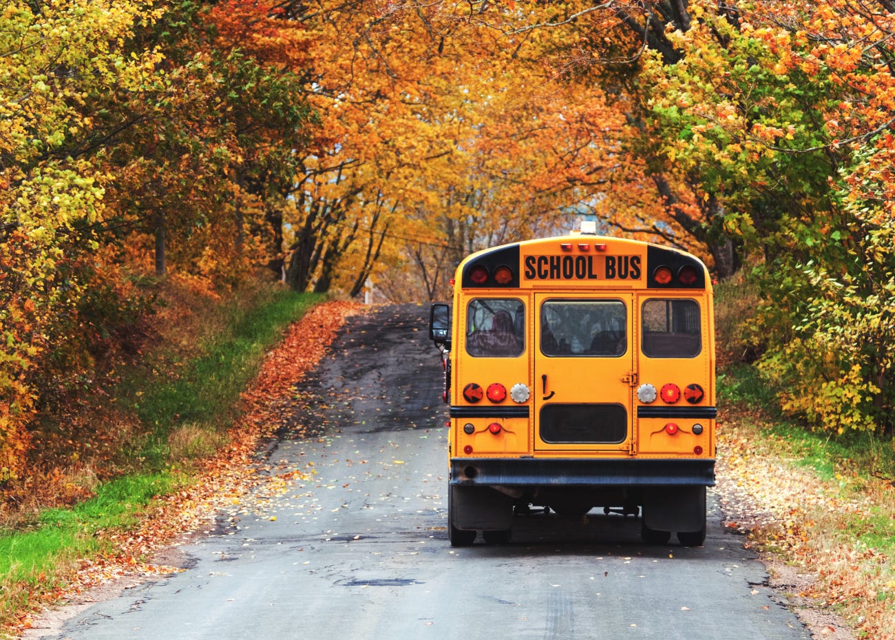 school bus