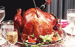 Christmasvacation Nationallampoons GIF - Christmasvacation Nationallampoons Griswolds GIFs
