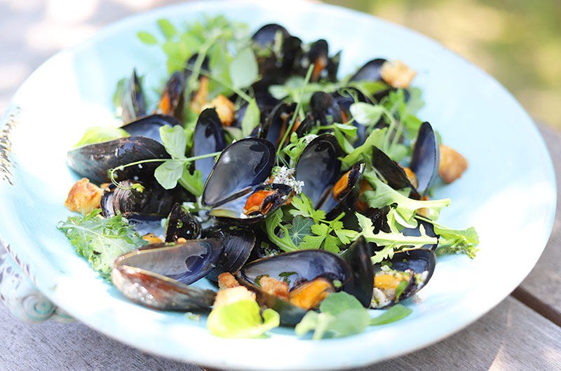 Mussel Salad with Baby Greens and Garlic Croutons by Cathy Walthers, Cook the Vineyard
