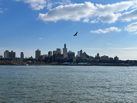 images of streets, rivers and bridges in New York, as well as a photo of two friends