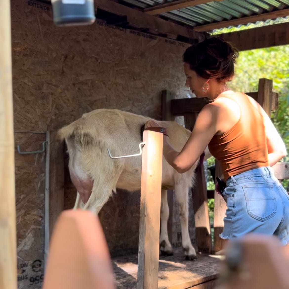 Artwork for Hiller Homestead