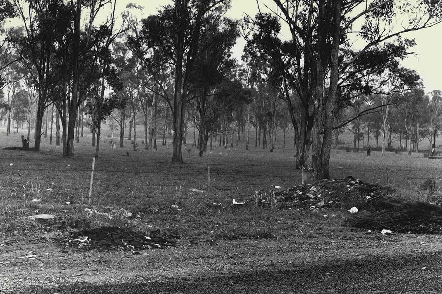 Examining the Horrific Rape and Murder of Anita Cobby