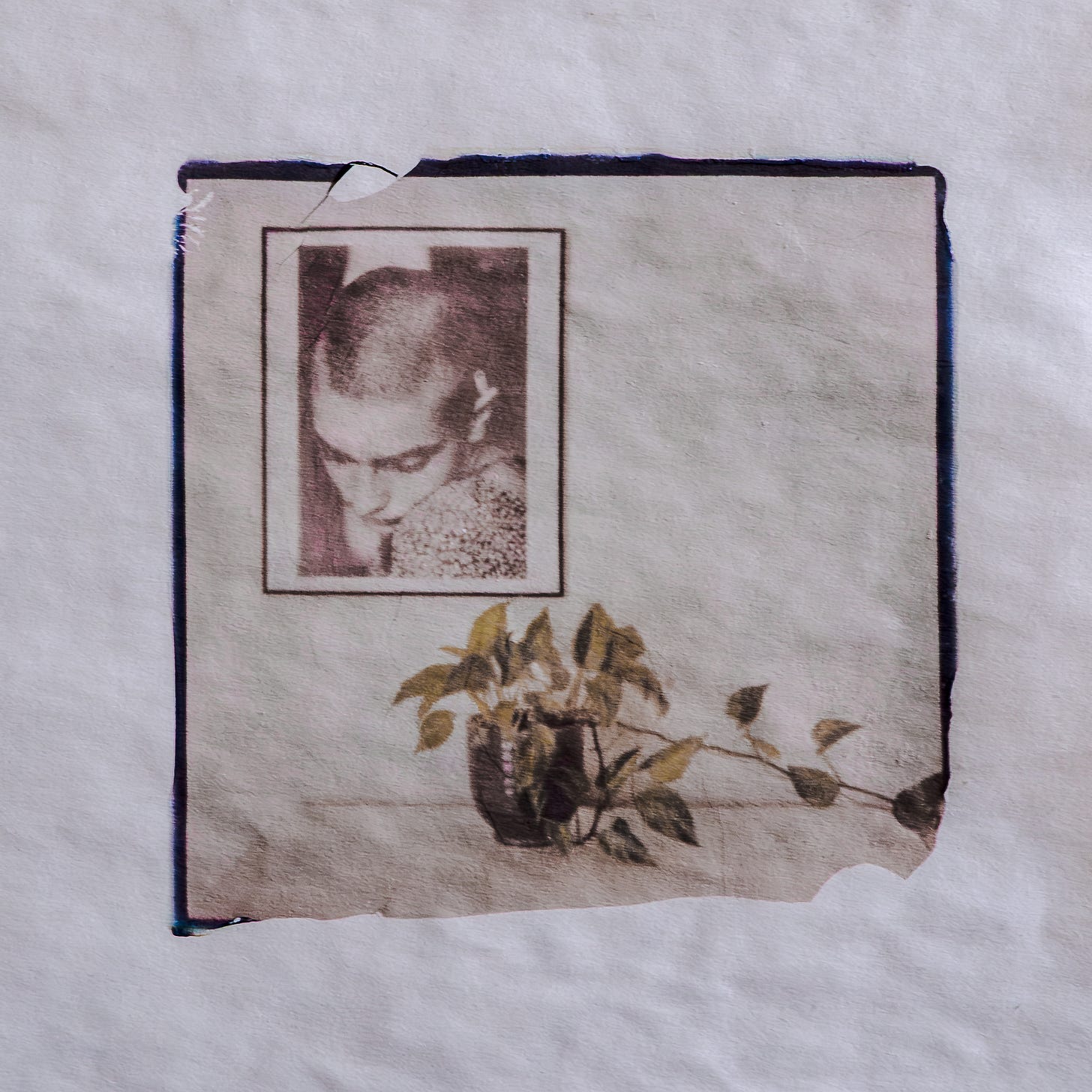 Sinéad O'Connor and ivy, a first attempt at lifting the emulsion layer from a Polaroid instant print