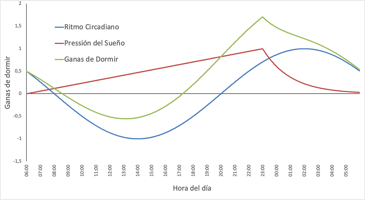gráfico donde se muestra el efecto del ritmo circadiano y la presión del sueño en las ganas de dormir