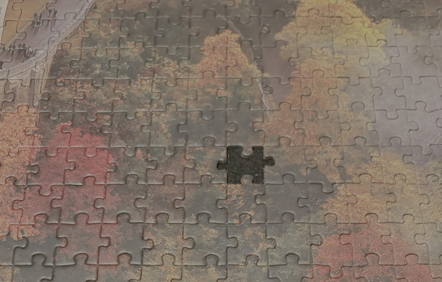 A close-up photo of a jigsaw puzzle with one piece missing.