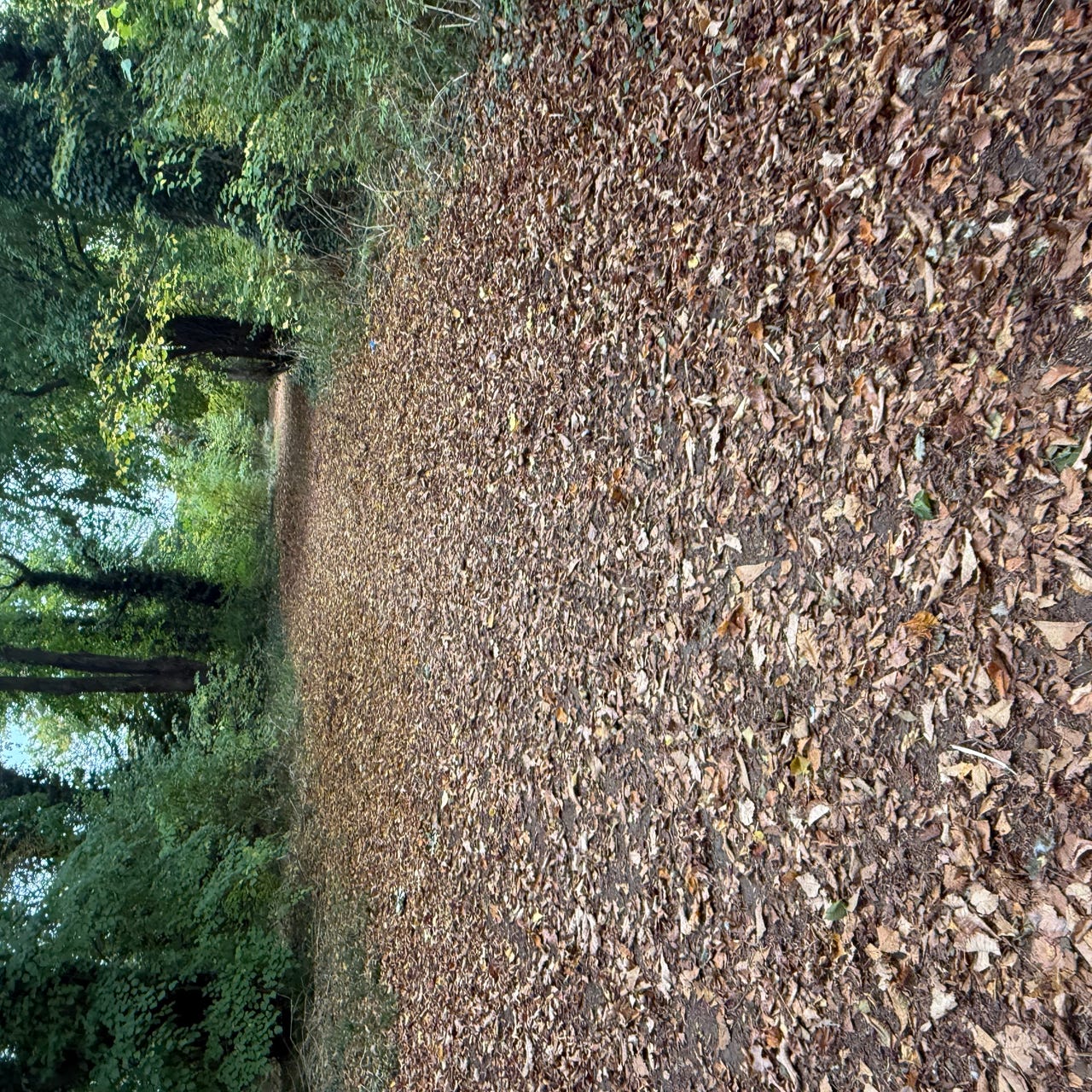 Midlife money and more: the freelance finance bit