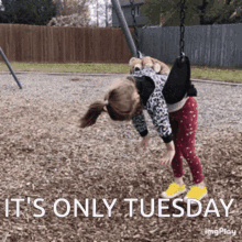 Tuesday GIFs | Tenor