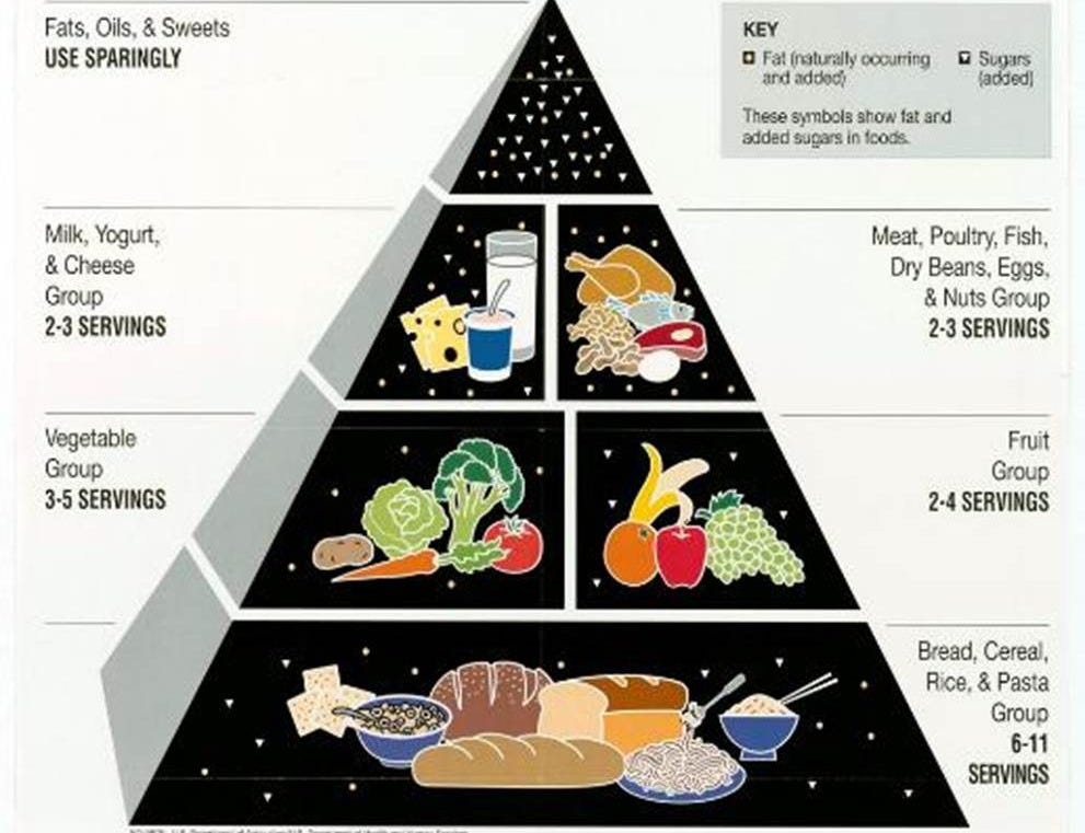 Usda Food Guide Pyramid 2024 - Ayla Harper