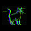 User's avatar
