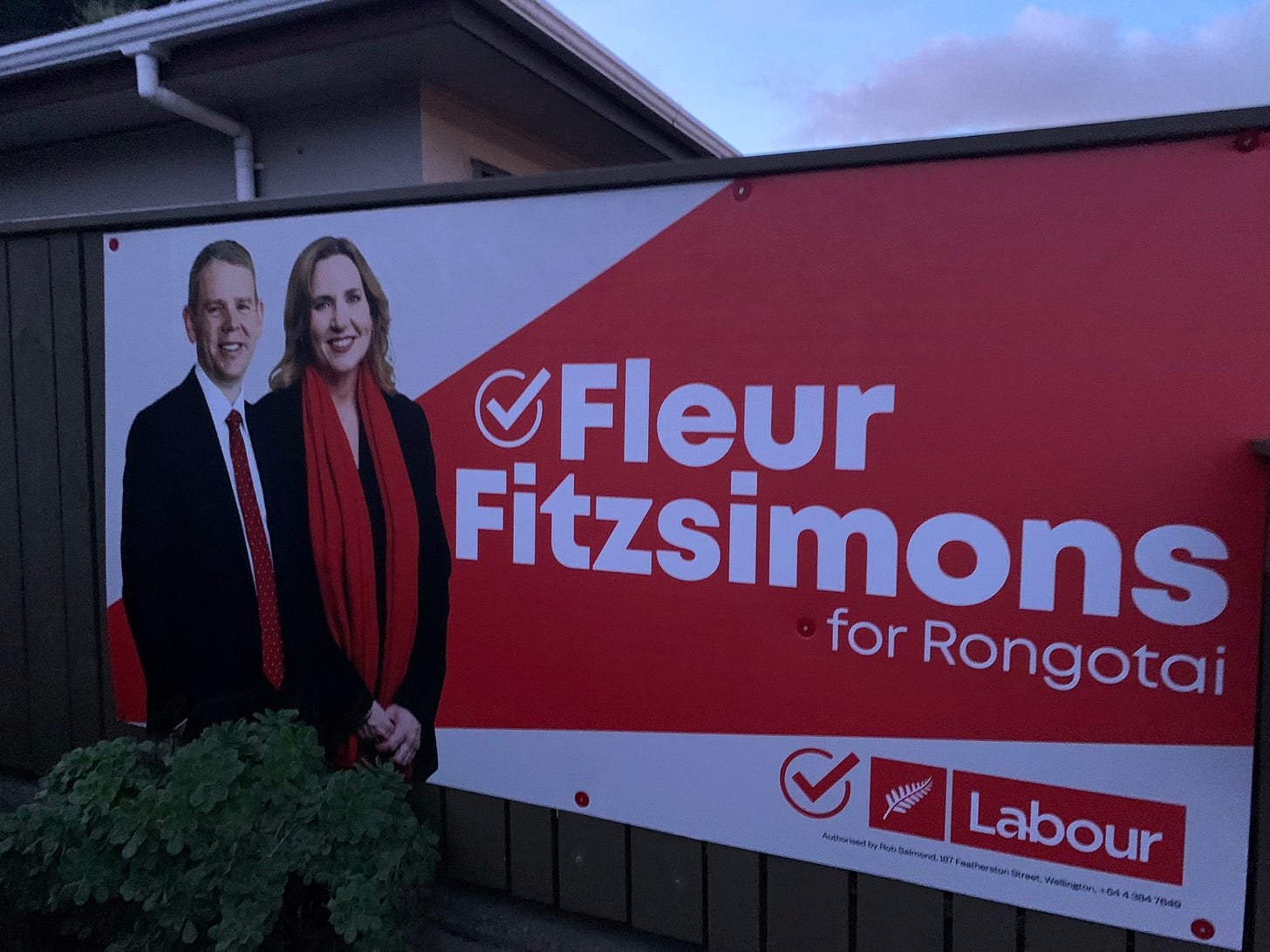 Fleur Fitzsimons on X: "Milestone - first sign is up! #FleurForRongotai  #PartyVoteLabour https://t.co/lu9cJM94pQ" / X
