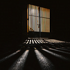 Interview: Bill Muir