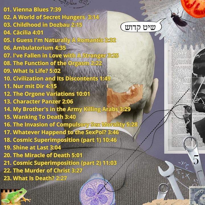 Marco Maurizi: The Life and Death of Wilhelm Reich