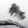 Letting Go/Holding On with Sue Repko