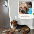 Contrarian Rescue of the Week