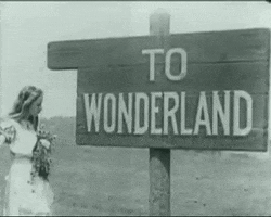 alice in wonderland story GIF alice in wonderland story GIF