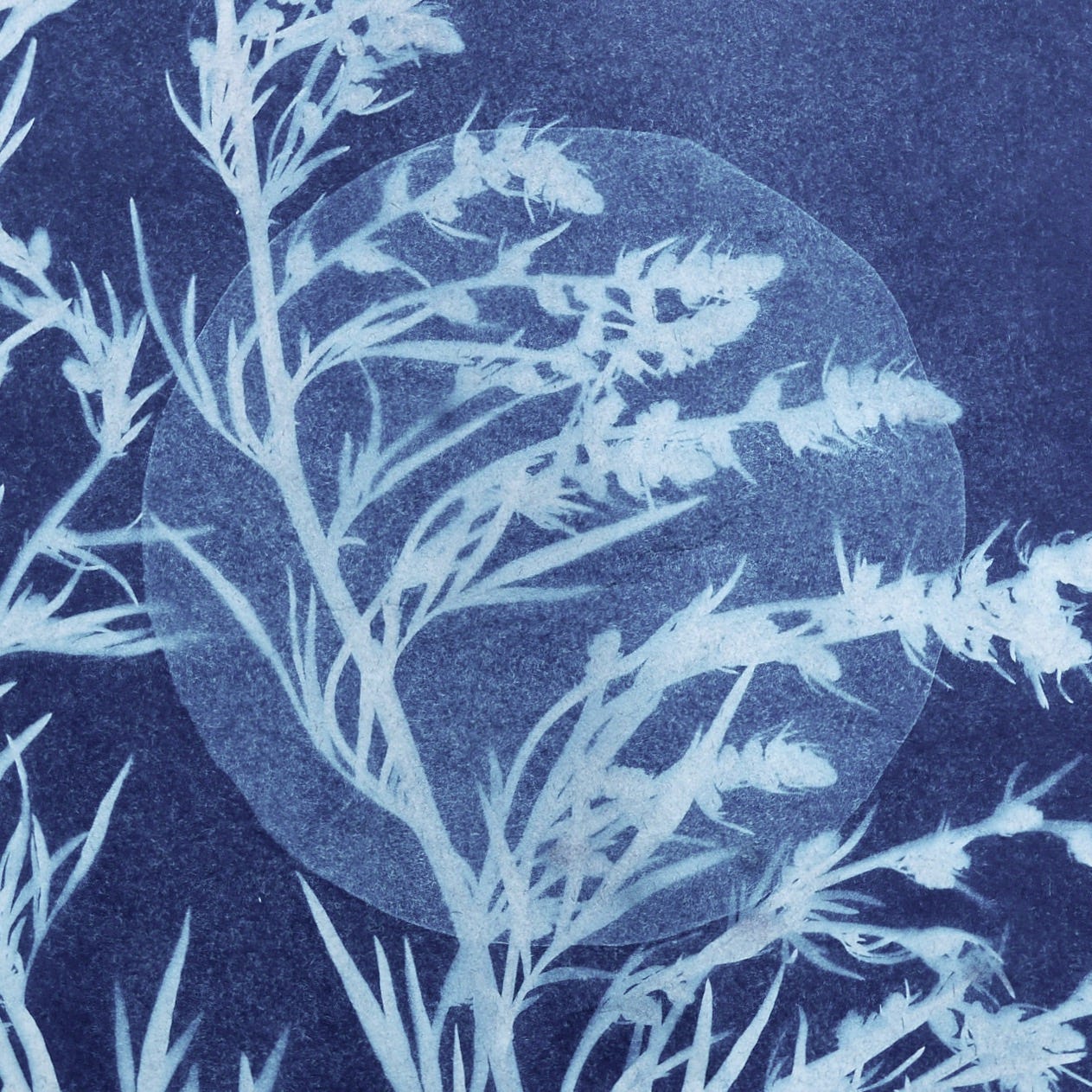 The Entangled Garden