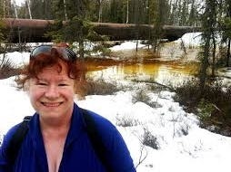 Aurora Watcher Alaska