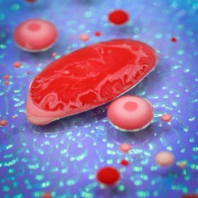 The Importance Of The Macrophage In The Immune System