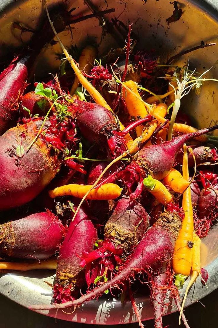 This may contain: a bowl filled with beets and carrots on top of a table
