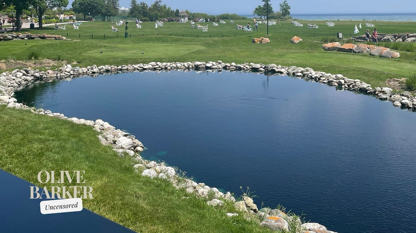 Bistro on the green mackinac island