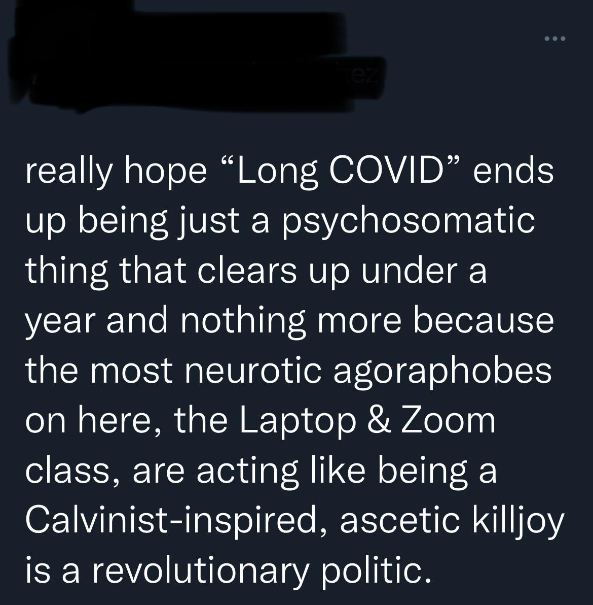 tweets that read, “really hope ‘Long COVID’ ends up being just a psychosomatic thing that clears up under a year and nothing more because the most neurotic agoraphobes on here, the Laptop & Zoom class, are acting like being a Calvinist-inspired, ascetic killjoy is a revolutionary politic. tweets that read, “really hope ‘Long COVID’ ends up being just a psychosomatic thing that clears up under a year and nothing more because the most neurotic agoraphobes on here, the Laptop & Zoom class, are acting like being a Calvinist-inspired, ascetic killjoy is a revolutionary politic.