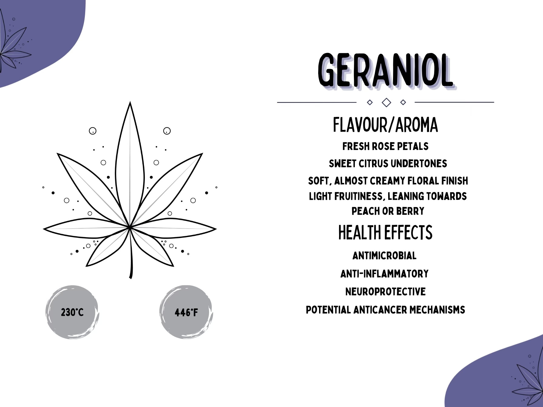 Terpene of the Month: Geraniol | AusCannaReviews