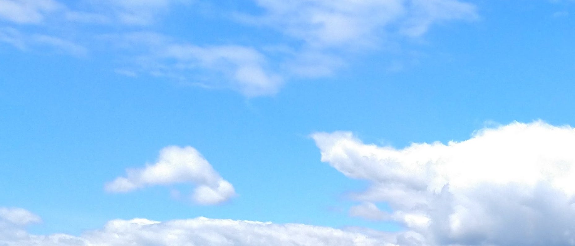 Taminad’s Substack