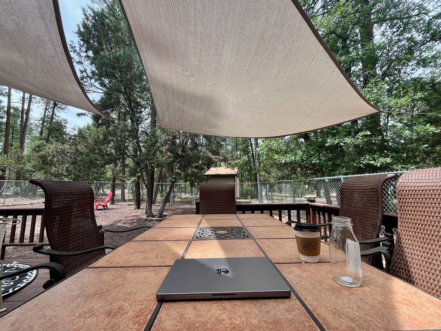 the back patio with a table, my laptop, and pines in the background
