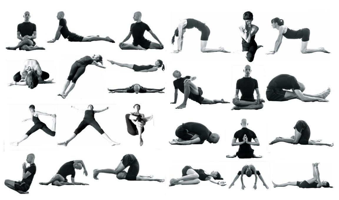 yin yoga - LIINA YOGA
