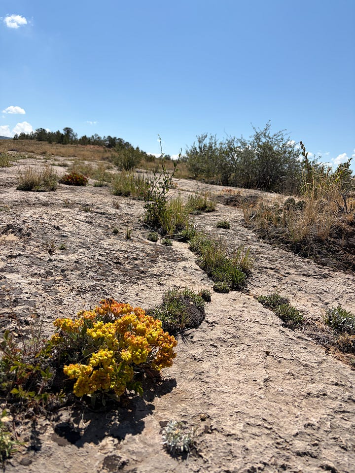Images of the author’s time hiking, horseback riding, camping, fihsing, etc. in and around Laramie, WY
