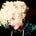 Dahlia Kurtz's avatar