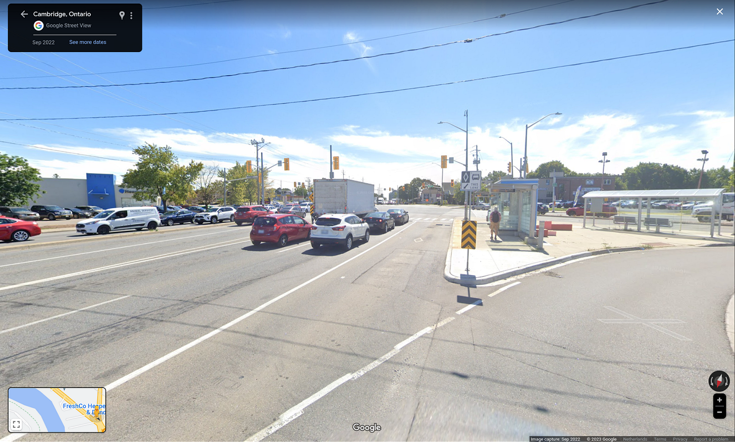 A bus only lane at the side of the road, with a bus stop on the curb.