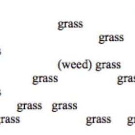 THE GRASS IS UNBELIEVABLY WARM