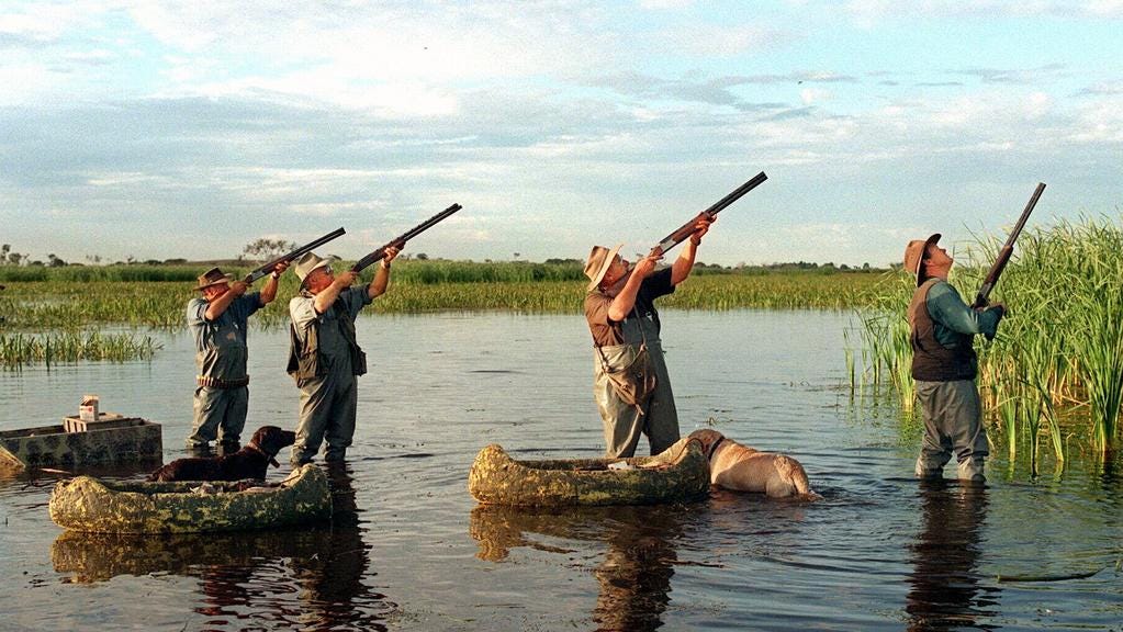 Victorian duck shooters settle for smaller hauls as numbers decline ... Victorian duck shooters settle for smaller hauls as numbers decline ...