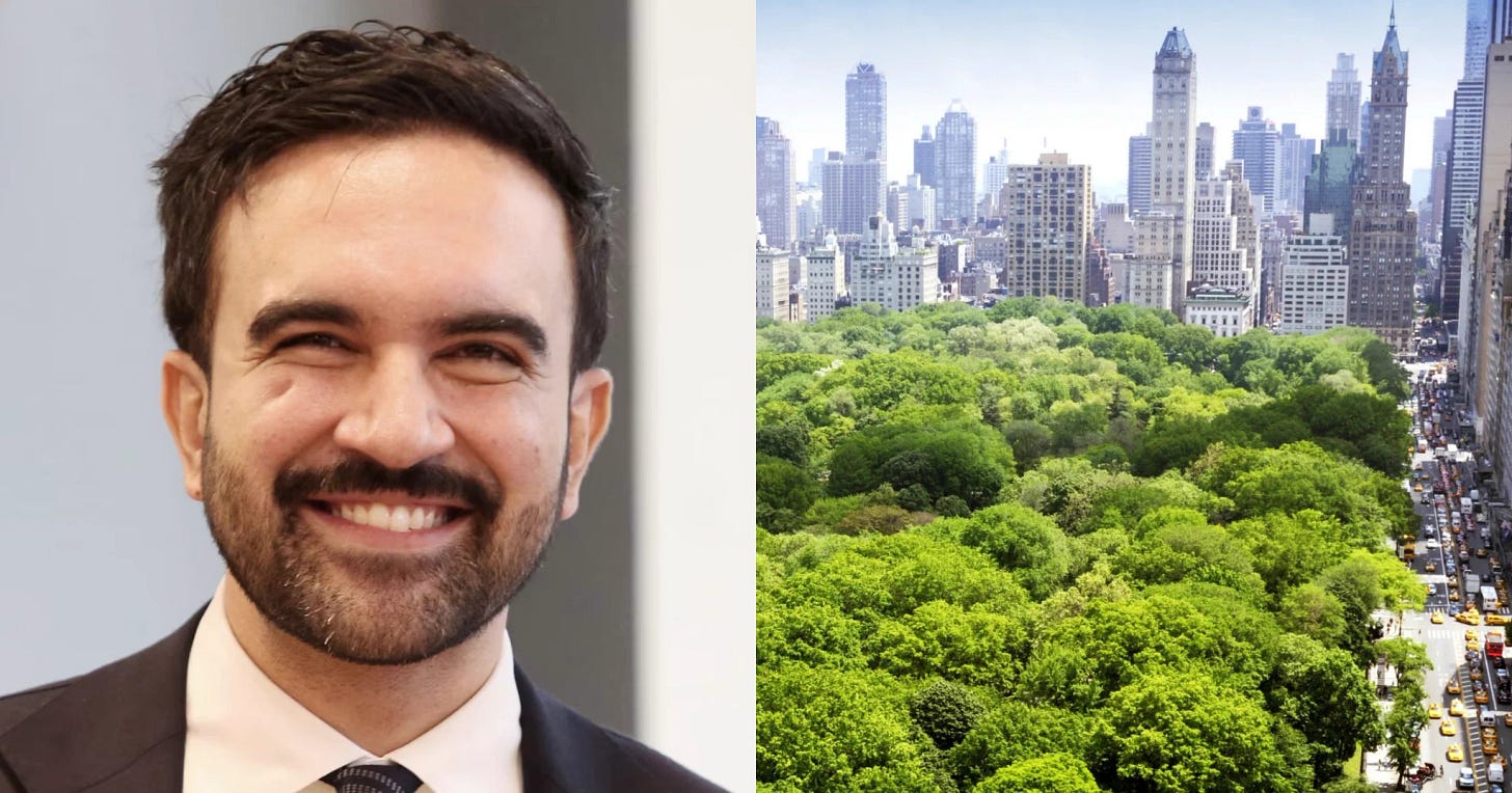Democrats Deliver on X: "🚨 Zohran Mamdani has increased NYC tree planting by 61% since taking office." / X Democrats Deliver on X: "🚨 Zohran Mamdani has increased NYC tree planting by 61% since taking office." / X