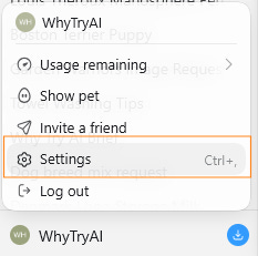 ChatGPT account menu showing WhyTryAI profile with Settings option highlighted ChatGPT account menu showing WhyTryAI profile with Settings option highlighted