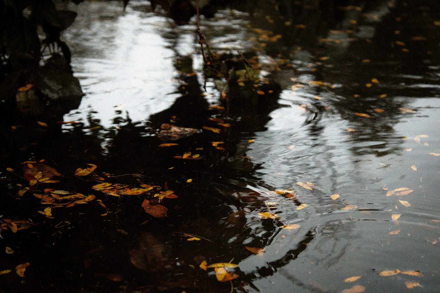 rippling water macro minimal silver reflection blue-grey light calm patience texture soft light surface tension