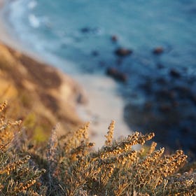  Shorelines, or What The Water Said 