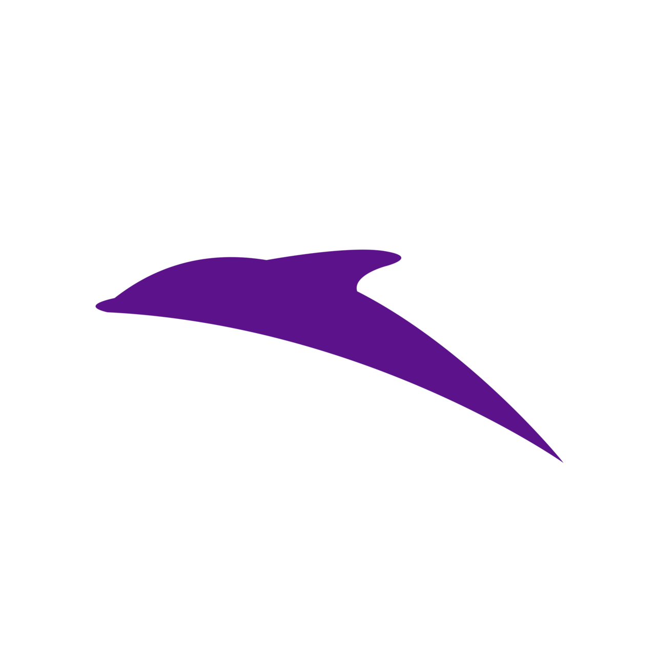 Dolphinger Center for Memetic Studies