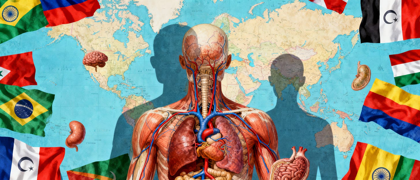 Ilustración para 'Anatomía y fisiología de las Revoluciones de Colores'.