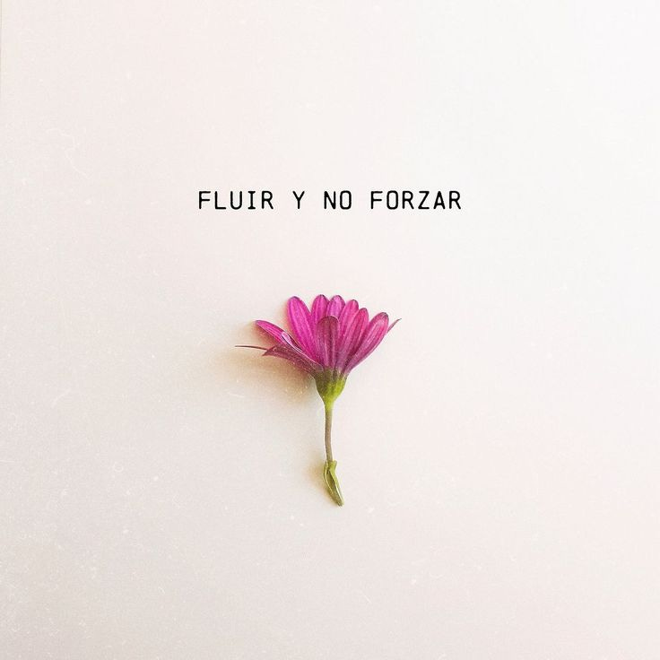 Fluir & no forzar