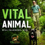 Vital Animal Substack