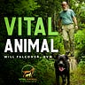 Vital Animal Substack