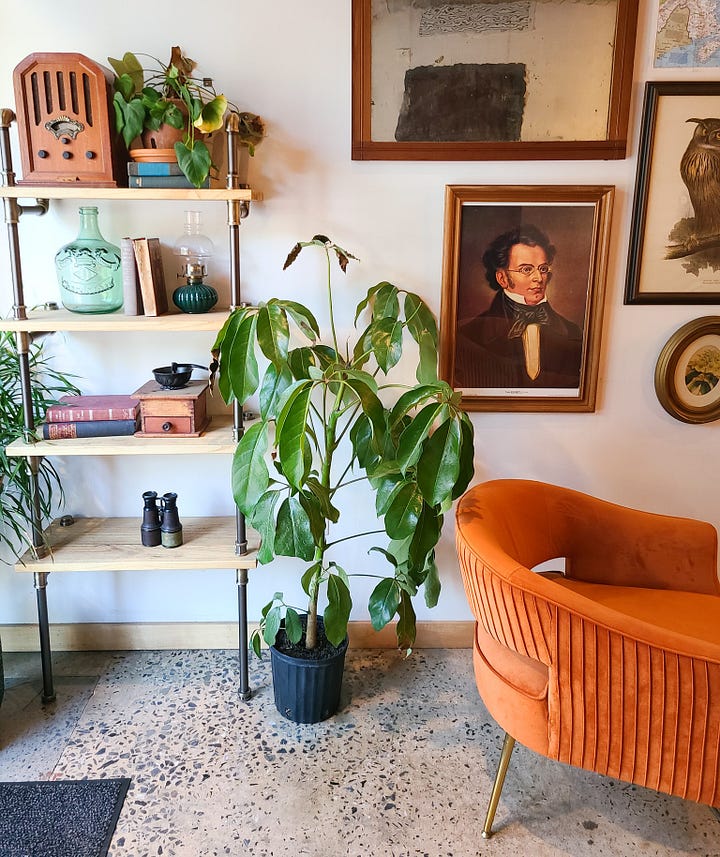 The Hobbyist interior seating vibes