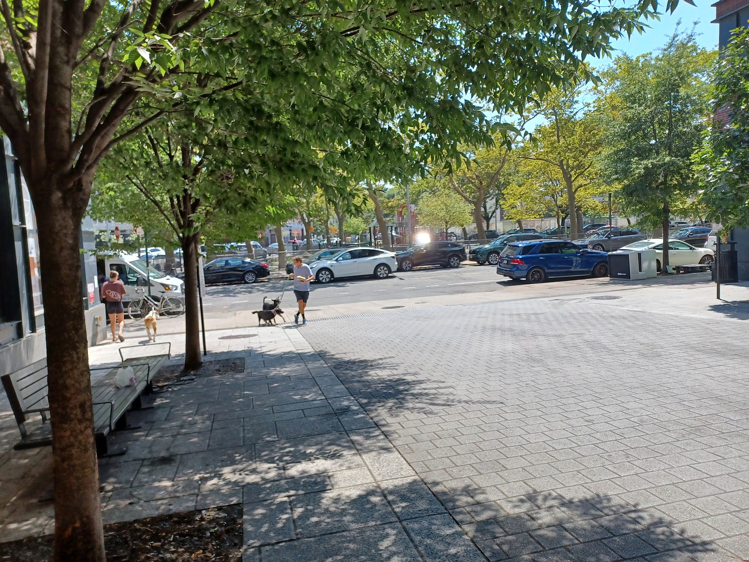 People, dogs, plazas, and possibilities in Brooklyn