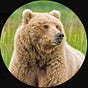 Grizzly Bear's avatar