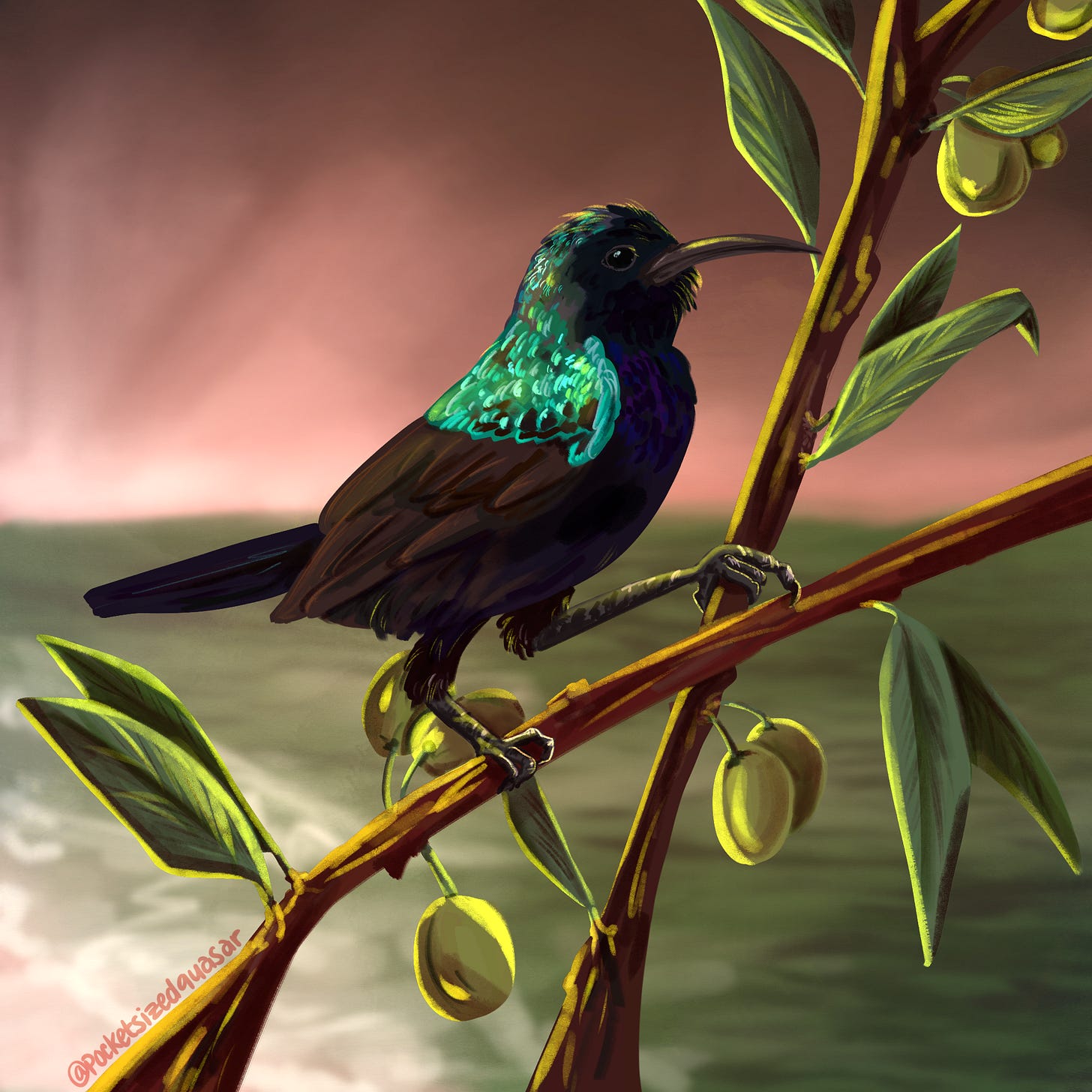 A digital painting of a Palestine sunbird sitting perched on olive branches. it is a small black and blue songbird with a teal-turquoise shimmer on its head and upper wings. In the background is a faded scene of a beach at sunset in the colors of the Palestinian flag: red, green, black, and white. The artist’s signature “@pocketsizedquasar” is written over one of the branches on the bottom left. 