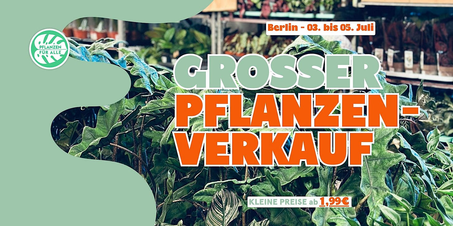 Big plant sale - Berlin
