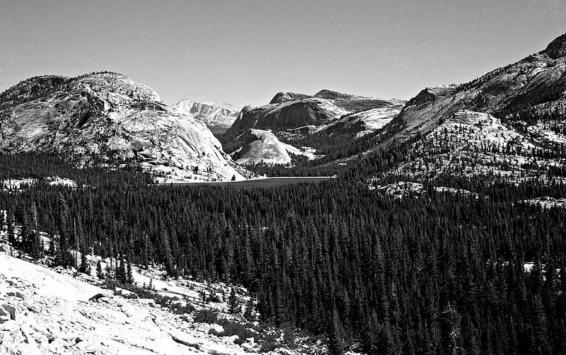 Black and White Image of Yosemite National Park Black and White Image of Yosemite National Park