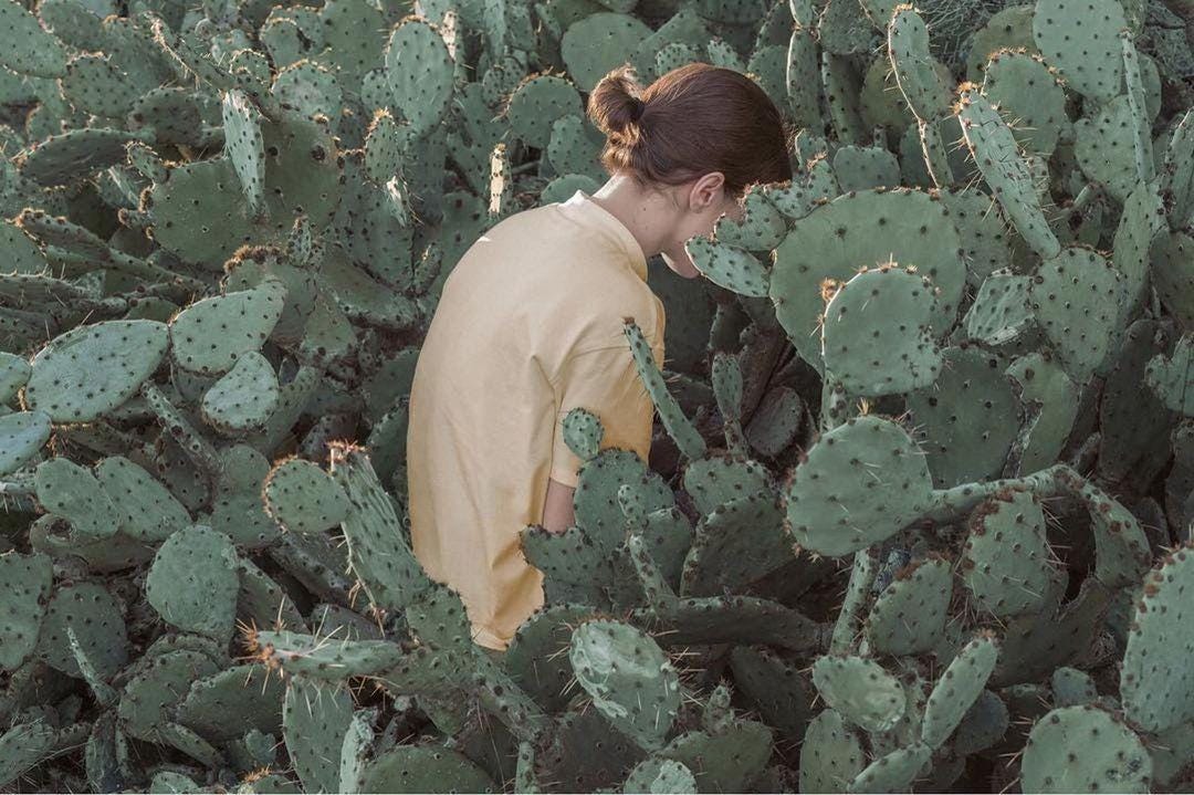 An Instagram  post added by cosmos on Feb 09, 2022. The author is @cosmos. May present: plant, photography, camouflage, photographer, military camouflage.